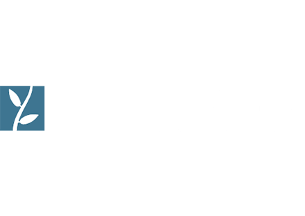 LotPixel Working Successfuly With Lumion