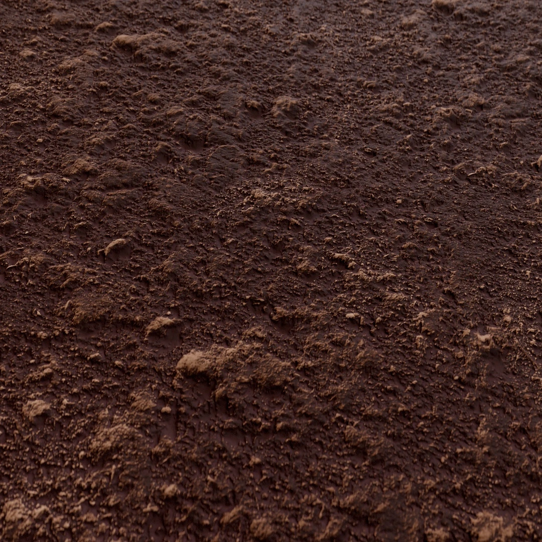 Free Rough Cracked Mud Texture
