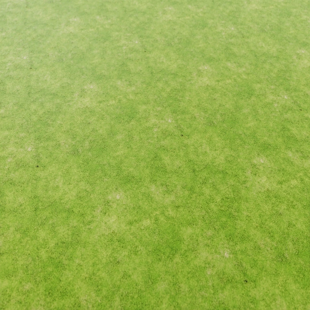 Grass Texture