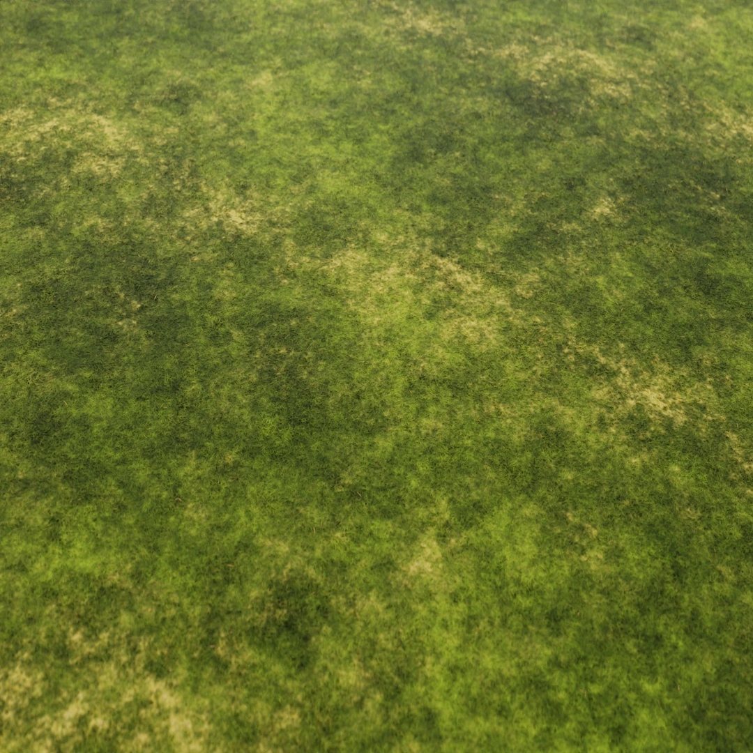 Lush Green Mossy Grass Texture