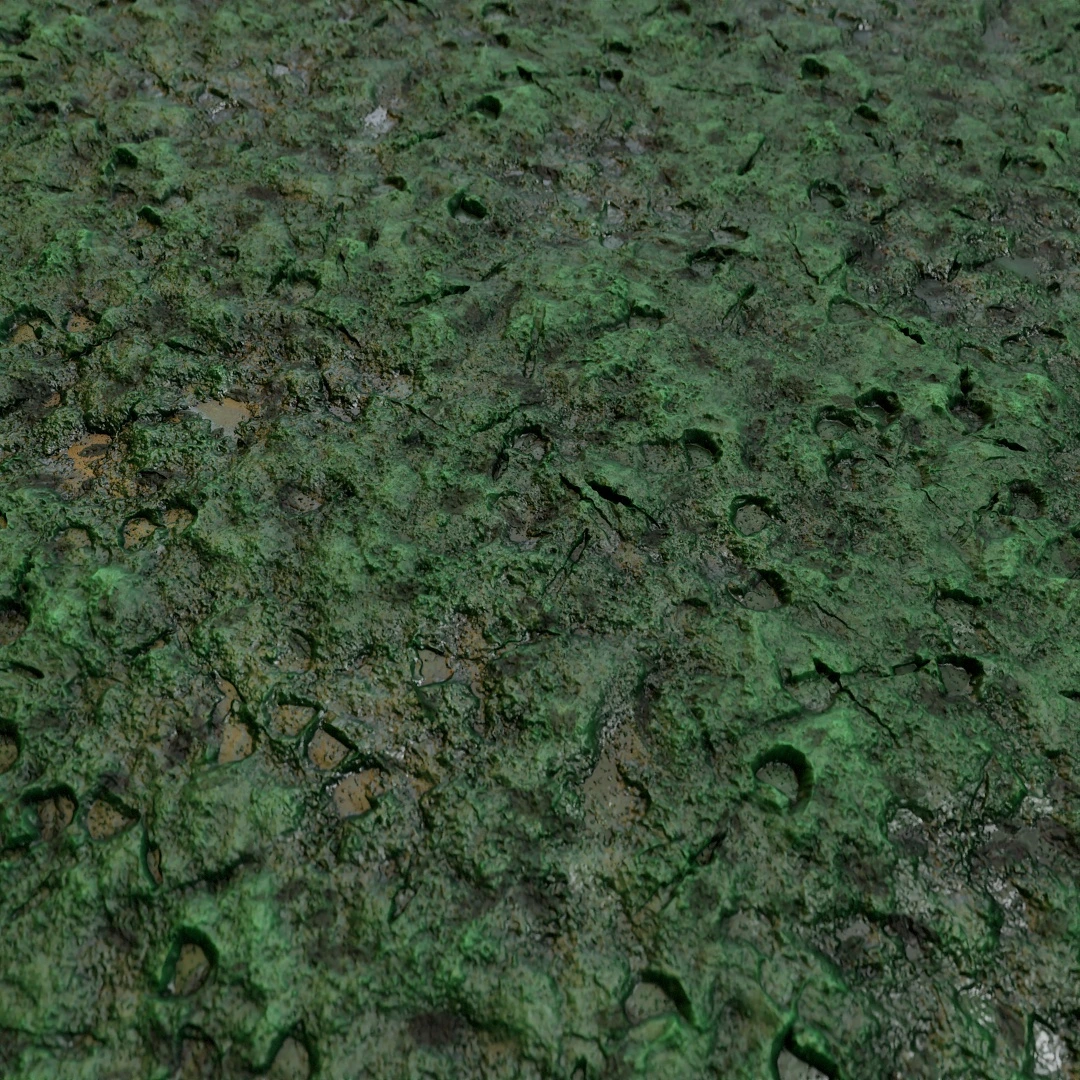 Mossy Footprint Embedded Mud Texture