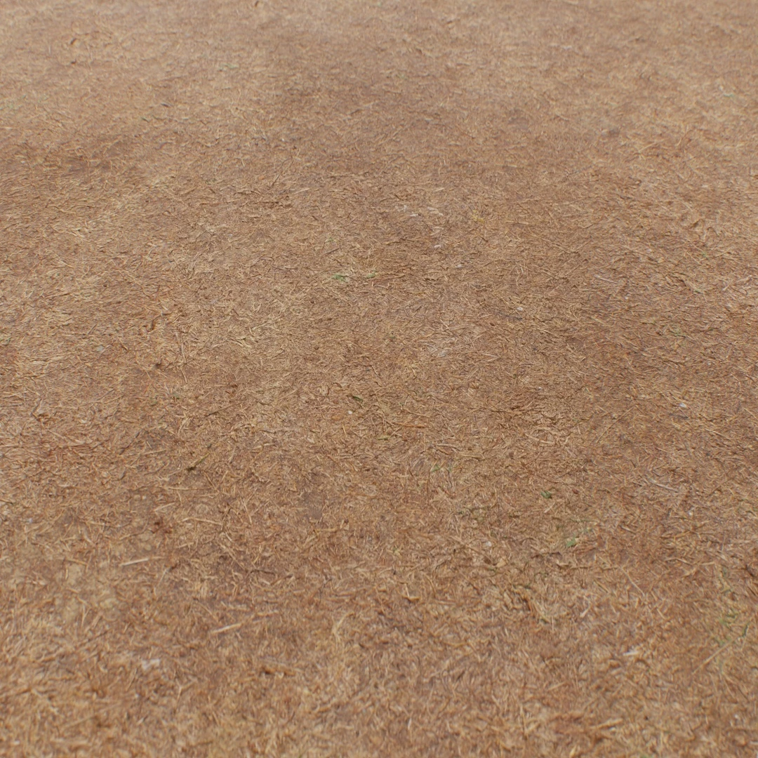 Patchy Dry Grass Texture