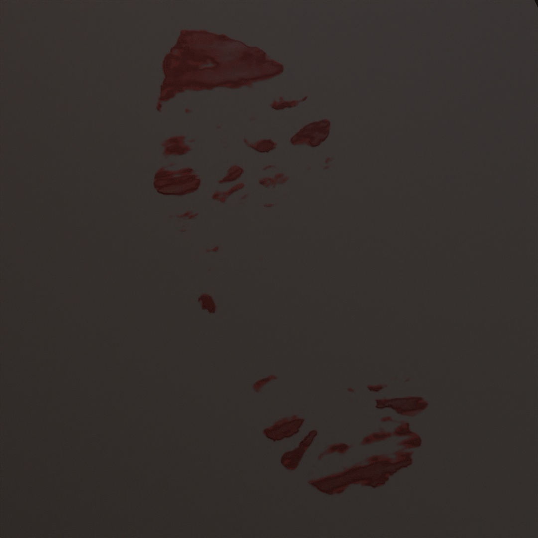 Dry Blood Shoe Smear Decal