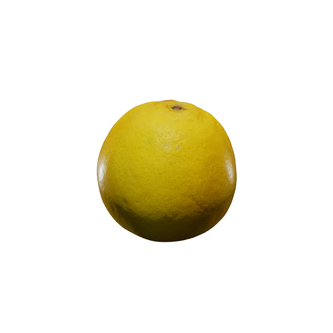 Orange 3D Model