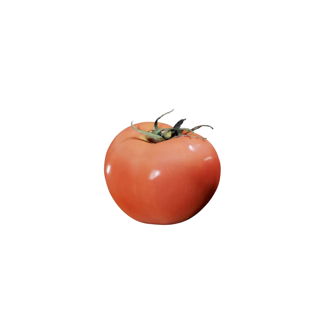 Tomato 3D Model