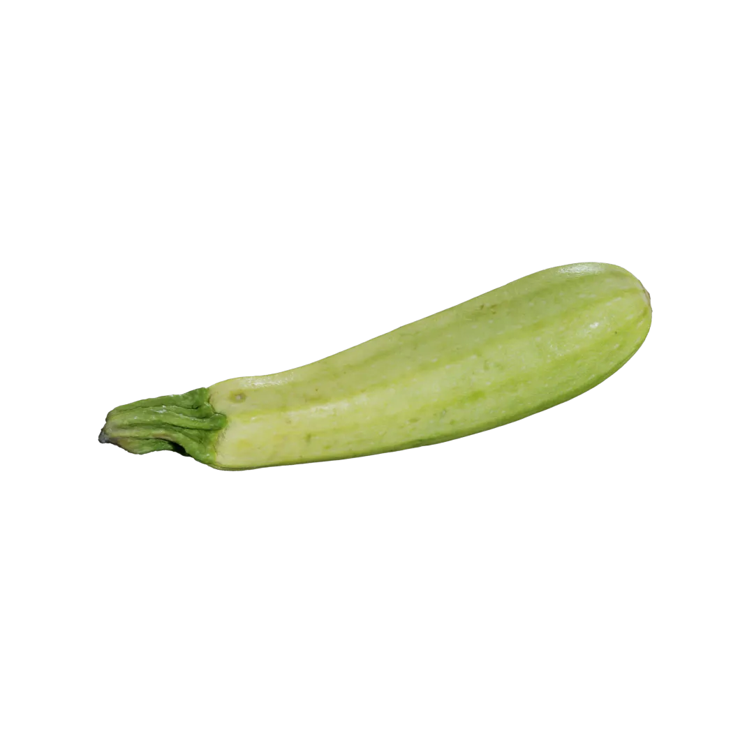 Zucchini 3D Model